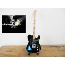 gitaar Fender Telecaster American Standard Pink Floyd Tribute