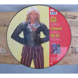 Originele Picture Disk (LP) van David Lee Roth 'just like paradise' 1986-1988