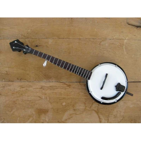 Fender Concert tone banjo