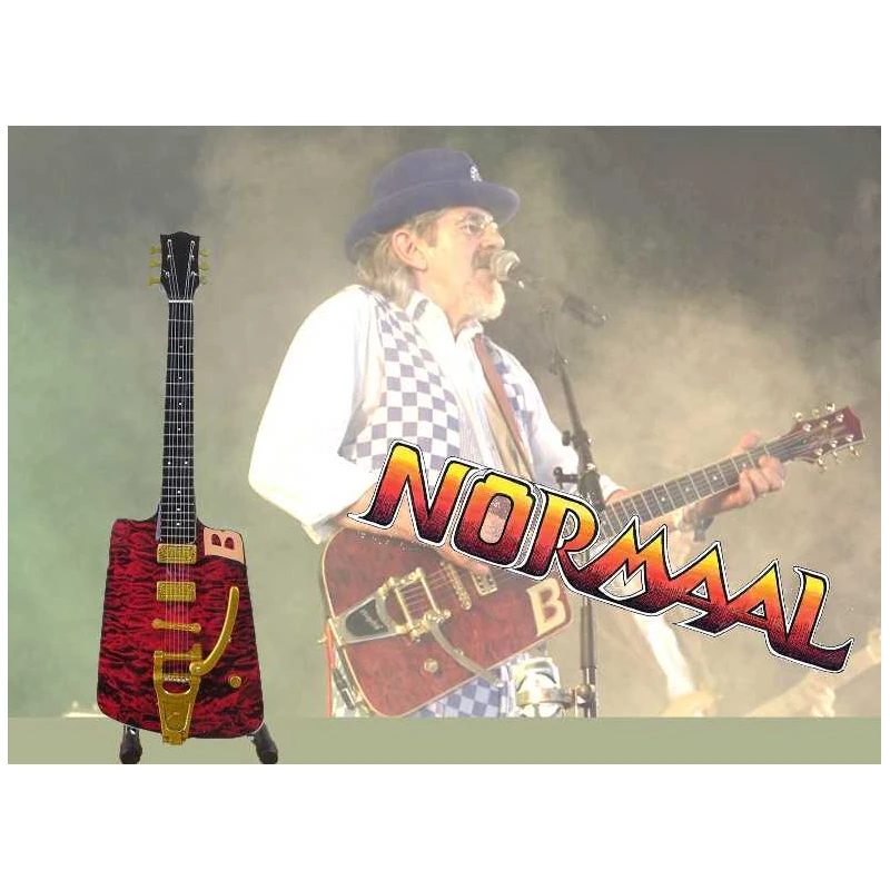 Gitaar Bennie Jolink (Normaal)