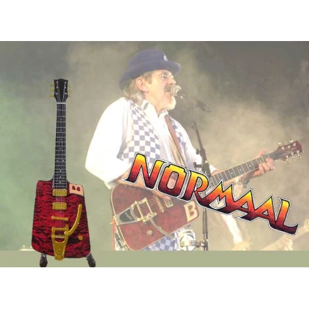 Gitaar Bennie Jolink (Normaal)