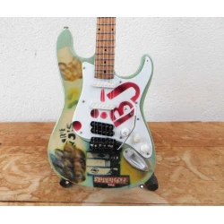 Gitaar Fender Stratocaster van Billie Joe (GREENDAY)