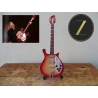 Gitarre Rickenbacker 660/12 TP inklusive Tom Petty Selten